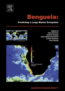 Benguela: Predicting a Large Marine Ecosystem