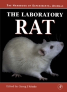 The Laboratory Rat