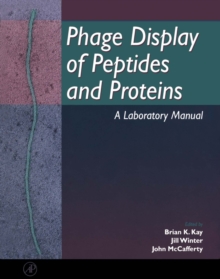 Phage Display of Peptides and Proteins : A Laboratory Manual