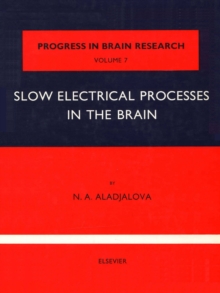 Slow Electrical Processes in the Brain