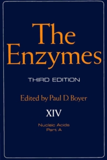 The Enzymes