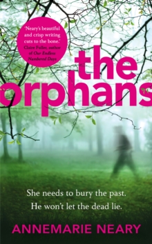 The Orphans, Hardback Book The Orphans, Hardback Book