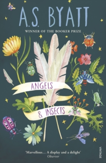 Angels And Insects