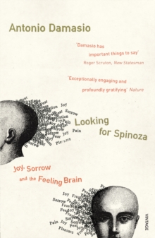 Looking For Spinoza : Joy, Sorrow And The Feeling Brain