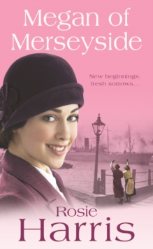 Megan of Merseyside, Paperback / softback Book Megan of Merseyside, Paperback / softback Book