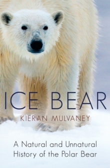 Ice Bear : A Natural and Unnatural History of the Polar Bear, Paperback Book Ice Bear : A Natural and Unnatural History of the Polar Bear, Paperback Book