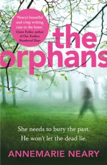 The Orphans, Paperback / softback Book The Orphans, Paperback / softback Book