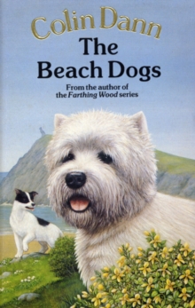 The Beach Dogs, Paperback Book The Beach Dogs, Paperback Book