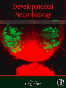 Developmental Neurobiology