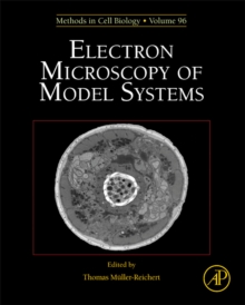 Electron Microscopy of Model Systems