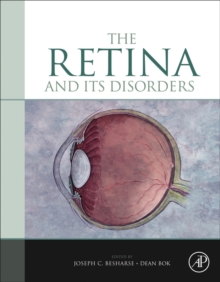 The Retina and its Disorders