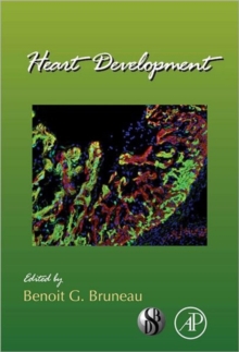 Heart Development : Volume 100, Hardback Book Heart Development : Volume 100, Hardback Book