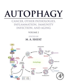 Autophagy: Cancer, Other Pathologies, Inflammation, Immunity, Infection, and Aging : Volume 2 Role in General Diseases, Hardback Book Autophagy: Cancer, Other Pathologies, Inflammation, Immunity, Infection, and Aging : Volume 2 Role in General Diseases, Hardback Book