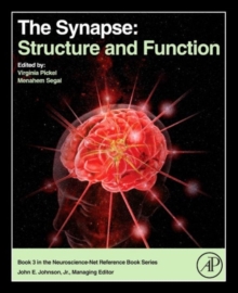 The Synapse : Structure and Function, Hardback Book The Synapse : Structure and Function, Hardback Book