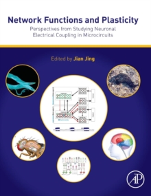 Network Functions and Plasticity : Perspectives from Studying Neuronal Electrical Coupling in Microcircuits, Hardback Book Network Functions and Plasticity : Perspectives from Studying Neuronal Electrical Coupling in Microcircuits, Hardback Book