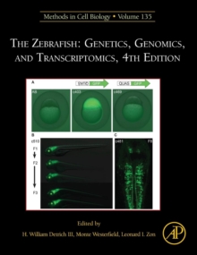 The Zebrafish: Genetics, Genomics, and Transcriptomics : Volume 135, Hardback Book The Zebrafish: Genetics, Genomics, and Transcriptomics : Volume 135, Hardback Book