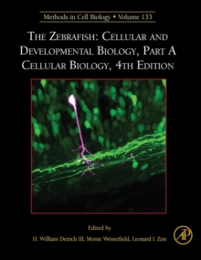 The Zebrafish: Cellular and Developmental Biology, Part A Cellular Biology : Volume 133, Hardback Book The Zebrafish: Cellular and Developmental Biology, Part A Cellular Biology : Volume 133, Hardback Book