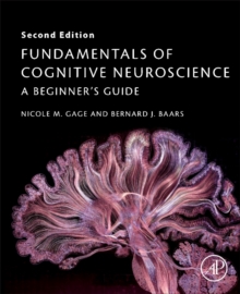 Fundamentals of Cognitive Neuroscience : A Beginner's Guide