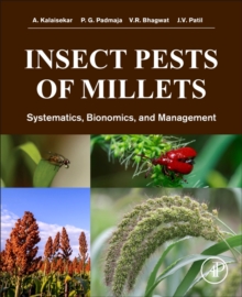 Insect Pests of Millets : Systematics, Bionomics, and Management, Paperback / softback Book Insect Pests of Millets : Systematics, Bionomics, and Management, Paperback / softback Book