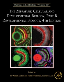 The Zebrafish: Cellular and Developmental Biology, Part B Developmental Biology : Volume 134, Hardback Book The Zebrafish: Cellular and Developmental Biology, Part B Developmental Biology : Volume 134, Hardback Book