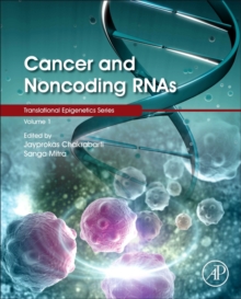Cancer and Noncoding RNAs : Volume 1, Hardback Book Cancer and Noncoding RNAs : Volume 1, Hardback Book