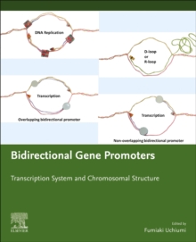 Bidirectional Gene Promoters : Transcription system and chromosomal structure