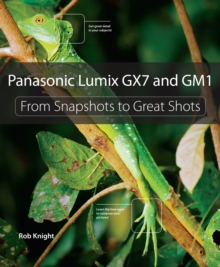 Panasonic Lumix GX7 and GM1 : From Snapshots to Great Shots