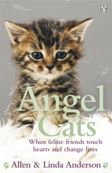 Angel Cats : When feline friends touch hearts and change lives, Paperback / softback Book Angel Cats : When feline friends touch hearts and change lives, Paperback / softback Book