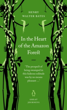 In the Heart of the Amazon Forest