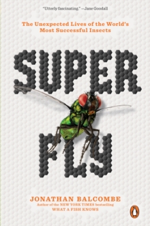 Super Fly : The Unexpected Lives of the World's Most Successful Insects