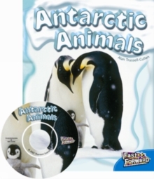 Antarctic Animals