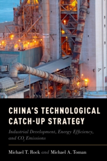 China's Technological Catch-Up Strategy : Industrial Development, Energy Efficiency, and CO2 Emissions