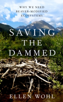 Saving the Dammed : Why We Need Beaver-Modified Ecosystems