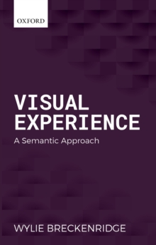 Visual Experience : A Semantic Approach