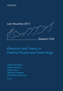 Effective Field Theory in Particle Physics and Cosmology : Lecture Notes of the Les Houches Summer School: Volume 108, July 2017