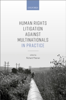 Human Rights Litigation against Multinationals in Practice