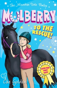 The Meadow Vale Ponies: Mulberry to the Rescue!, Paperback / softback Book The Meadow Vale Ponies: Mulberry to the Rescue!, Paperback / softback Book