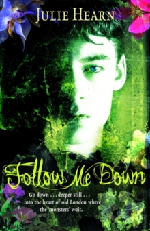Follow Me Down, Paperback Book Follow Me Down, Paperback Book