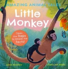 Amazing Animal Tales: Little Monkey