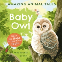 Amazing Animal Tales: Baby Owl