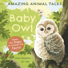 Amazing Animal Tales: Baby Owl