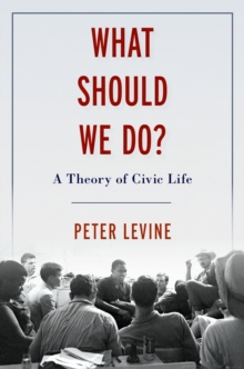 What Should We Do? : A Theory of Civic Life