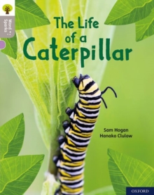 Oxford Reading Tree Word Sparks: Level 1: The Life Of A Caterpillar