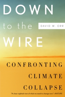 Down to the Wire : Confronting Climate Collapse