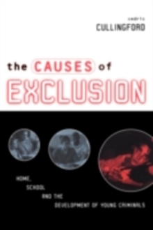 The Causes of Exclusion : Home, School and the Development of Young Criminals