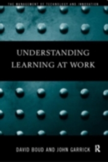 Understanding Learning at Work