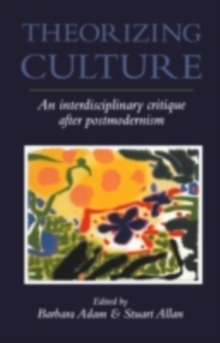 Theorizing Culture : An Interdisciplinary Critique After Postmodernism