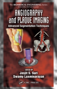 Angiography and Plaque Imaging : Advanced Segmentation Techniques