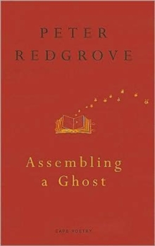 Assembling A Ghost, Paperback / softback Book Assembling A Ghost, Paperback / softback Book