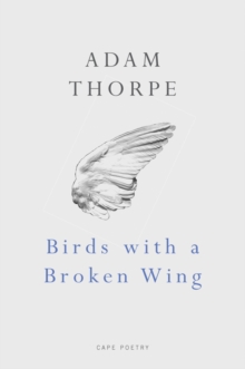 Birds With A Broken Wing, Paperback / softback Book Birds With A Broken Wing, Paperback / softback Book